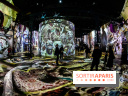 Photos : Exposition immersive Jimmy Nelson : The last sentinels à l’Atelier des Lumières 