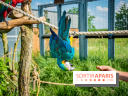 Parrot World, le parc animalier immersif d'Île-de-France