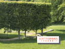 Le domaine royal de Marly et son musée !