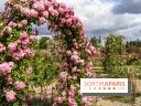 Photos : La Roseraie du val-de-Marne