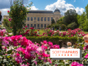 Photos La roseraie du Jardin des Plantes