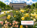 Photos La roseraie du Jardin des Plantes