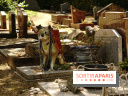 Le cimetière canin à Asnières-sur-Seine