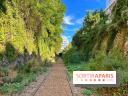 Balade sur la Petite Ceinture du 14 au 16e arrondissement : un sentier nature dépaysant