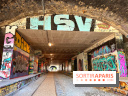 Balade sur la Petite Ceinture du 14 au 16e arrondissement : un sentier nature dépaysant