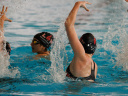 visuel piscine