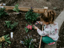 visuel jardinage