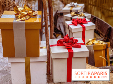 Noël Paris visuels - cadeau Noël