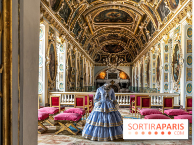 Château de Fontainebleau - Napoléon III et Eugénie -  A7C3938 HDR