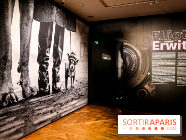 Elliott Erwitt, l'expo au Musée Maillol, nos photos - IMG 8912