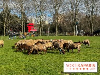Transhumance à la Villette - E0C1AEB3 FEBD 45CF 88A2 0C8320DD6F8A