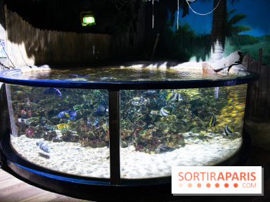 Aquarium Sea Life
