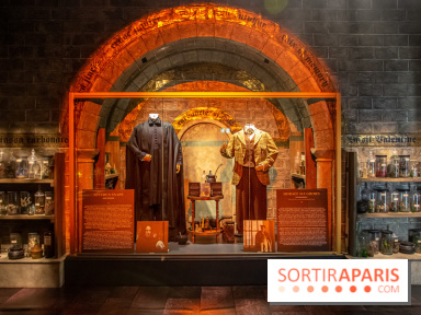 Harry Potter l'exposition cours de potions