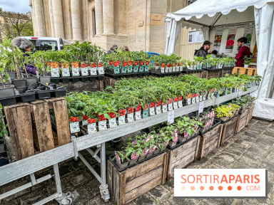 Esprit Jardin à Versailles - Marché aux plantes et animations