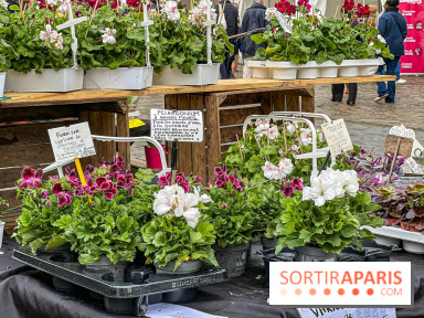 Esprit Jardin à Versailles - Marché aux plantes et animations