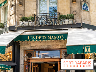 Les Deux Magots - Goûter - terrasse -  A7C0843