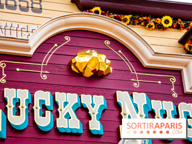 Disneyland Secrets visuels Lucky Nuggets