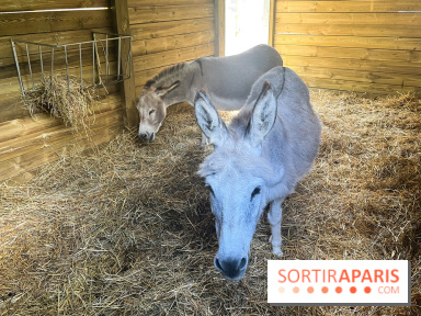 La ferme de la Villette et ses animaux - image00021