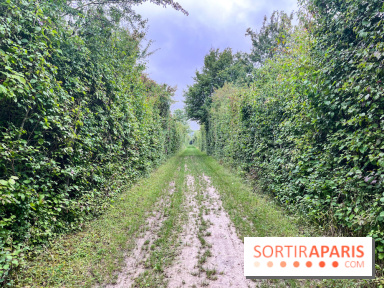 Le parc de la Haute-Île à Neuilly-sur-Marne - image00003