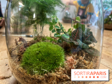 Boby la Plante