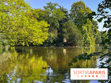 Les lacs et rivières du Vésinet, dans les Yvelines - image00052