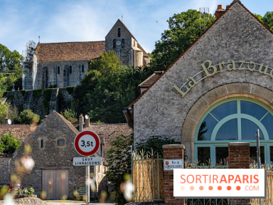 Village de Rochefort en Yvelines -  A7C0224