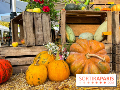 Automne au Potager du Roi - Citrouilles - Halloween