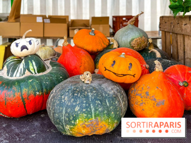 Automne au Potager du Roi - Citrouilles - Halloween