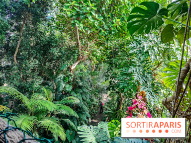 Automne Tropical 2023