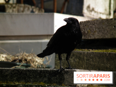 Le Père Lachaise, le cimetière le plus mythique de Paris et ses tombes de personnalités célèbres