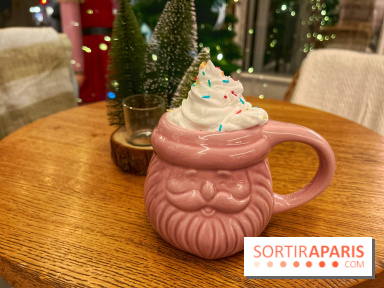 Hôtel Mahfouf - Station de ski - IMG 7598