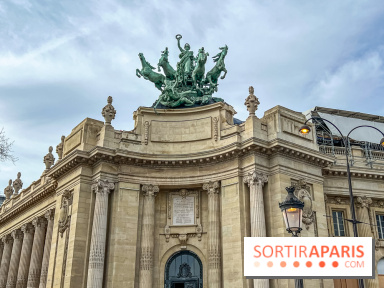 Visuel Paris 8e - Grand Palais