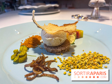Inoveat, le restaurant gastronomique d'insectes à Paris - nos photos