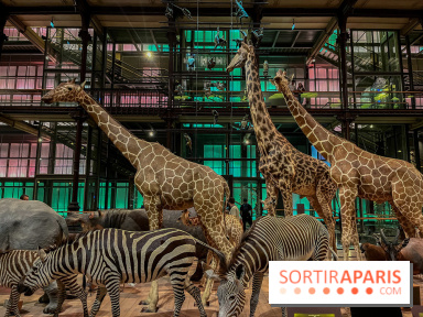 Grande Galerie de l'évolution- visuels 2024 - image00073