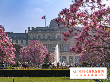 Les magnolias du Jardin du Palais Royal  - printemps - visuel Paris