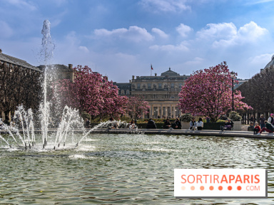 Les magnolias du Jardin du Palais Royal  - printemps - visuel Paris - fontaine - chaleur - beau temps