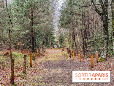 Arbor&Sens, l'Arboretum de Franchard en forêt de Fontainebleau - les photos
