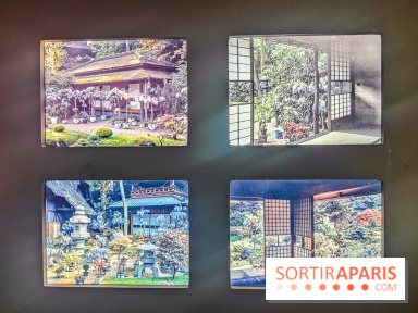 Natures vivantes : l'exposition photo qui met à l'honneur les jardins du musée Albert Kahn - photos