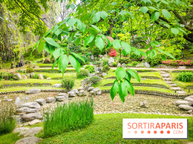 Natures vivantes : l'exposition photo qui met à l'honneur les jardins du musée Albert Kahn - photos - IMG20240429155101