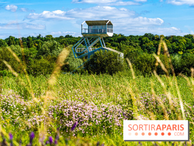 Le Parc du peuple de l'herbe dans les Yvelines - Étang de Galiotte - Carrières-sous-Poissy