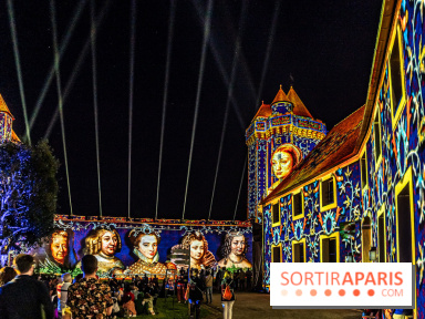 Lumières de Blandy : l'héritage des vicomtes, le spectacle sons et lumières -  A7C8174