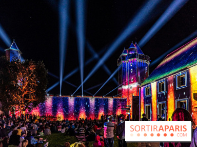 Lumières de Blandy : l'héritage des vicomtes, le spectacle sons et lumières -  A7C8182