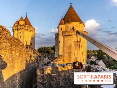 Le Château de Blandy-les-Tours en Seine-et-Marne (77), nos photos -  A7C7975
