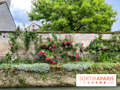 Crécy-la-Chappelle - nos photos - image00056