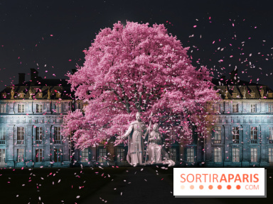 Vincennes, Château de Lumières - Nuits de lumière