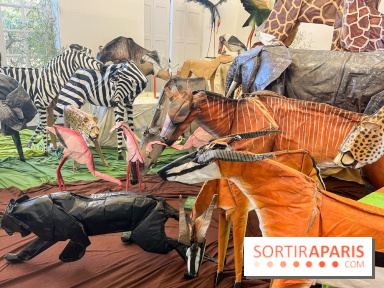 La faune en plis - nos photos - image00002