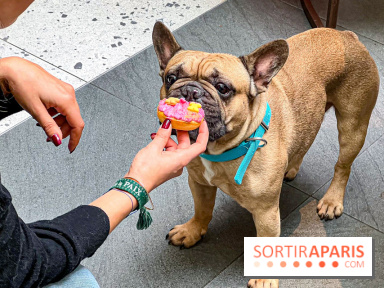 Le Doggy Brunch : le brunch gourmand entre chiens et maîtres à l'hôtel Kimpton Saint Honoré Paris - image00065
