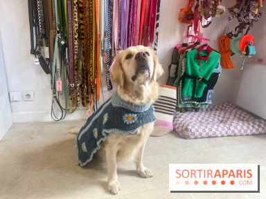 CAYU Canidés Club, la boutique d'accessoires dog friendly - nos photos
