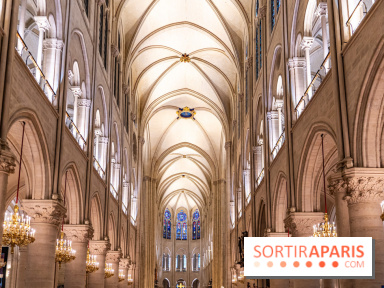 Visite de Notre-Dame de Paris -  A7C0176