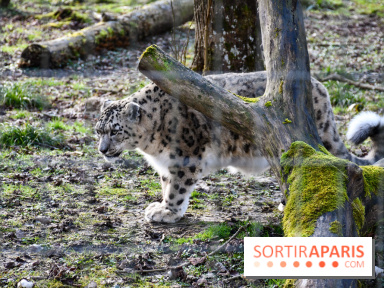 Lumigny Safari Reserve - nos photos